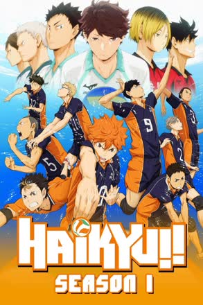Karasuno High School Volleyball Club
